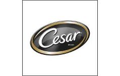 CESAR