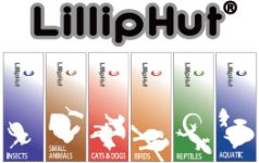 LILLIPHUT