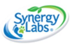 Synergy Lab
