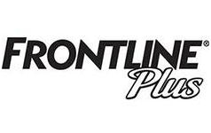 Frontline