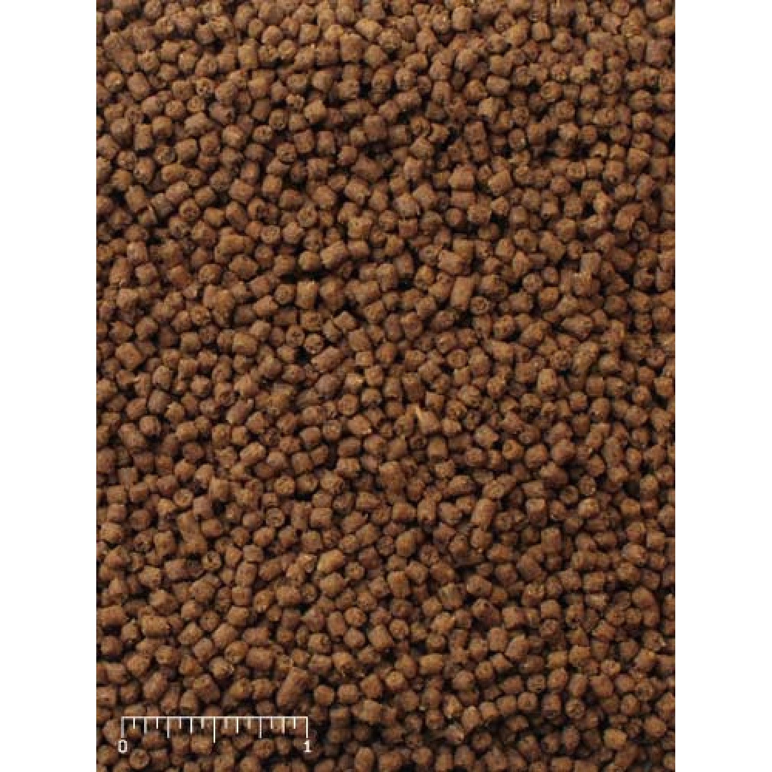 Mazuri® Insectivore Diet 5M6C 25lb