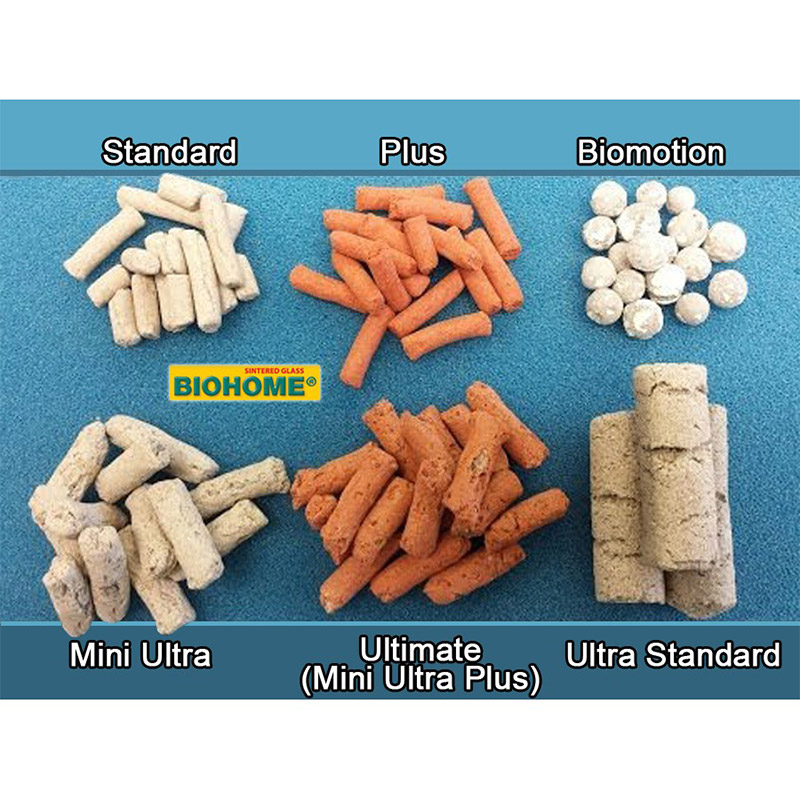 Biohome Plus 1kg repack