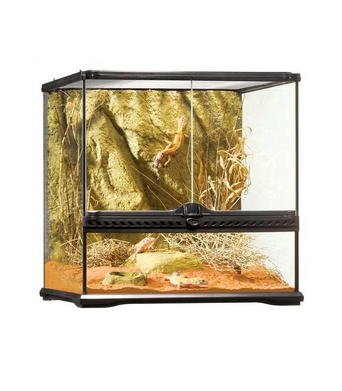 Exo Terra Terrarium PT2605 Small Wide DIMENSIONS (DXWXH) 45 x 45 x 45cm