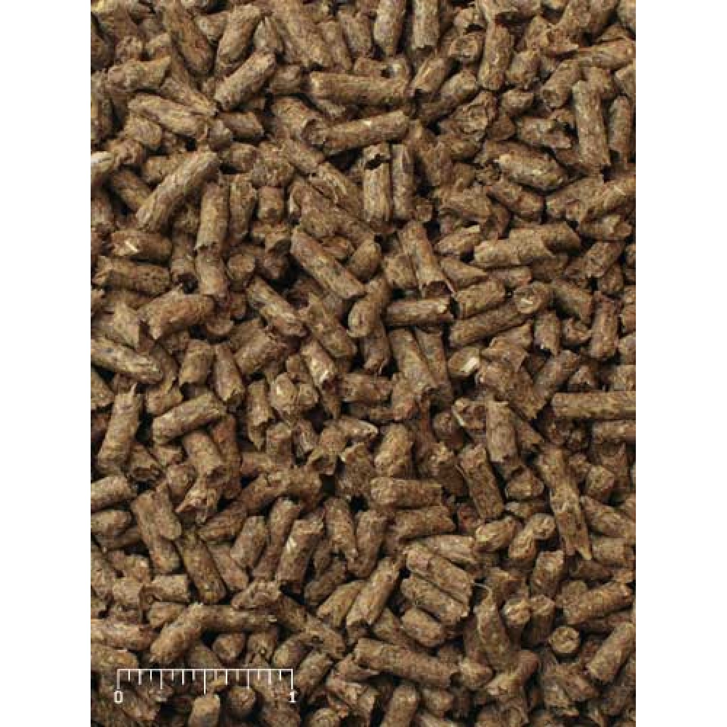 Mazuri® Timothy-Based Rabbit Diet 530Q 25lbs