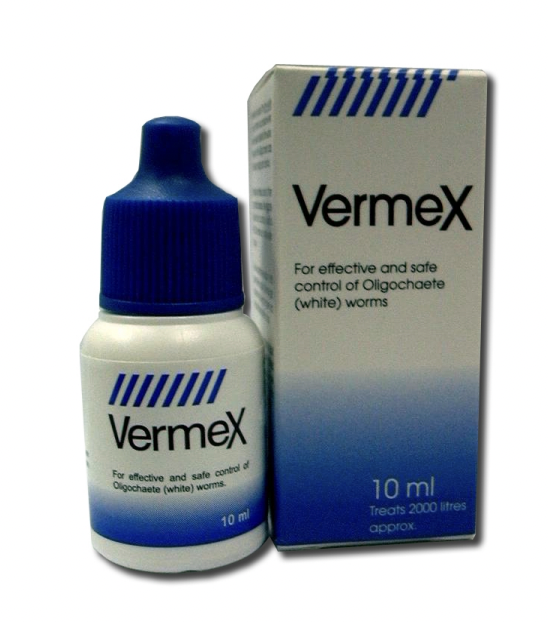 VERMEX WHITE WORMS