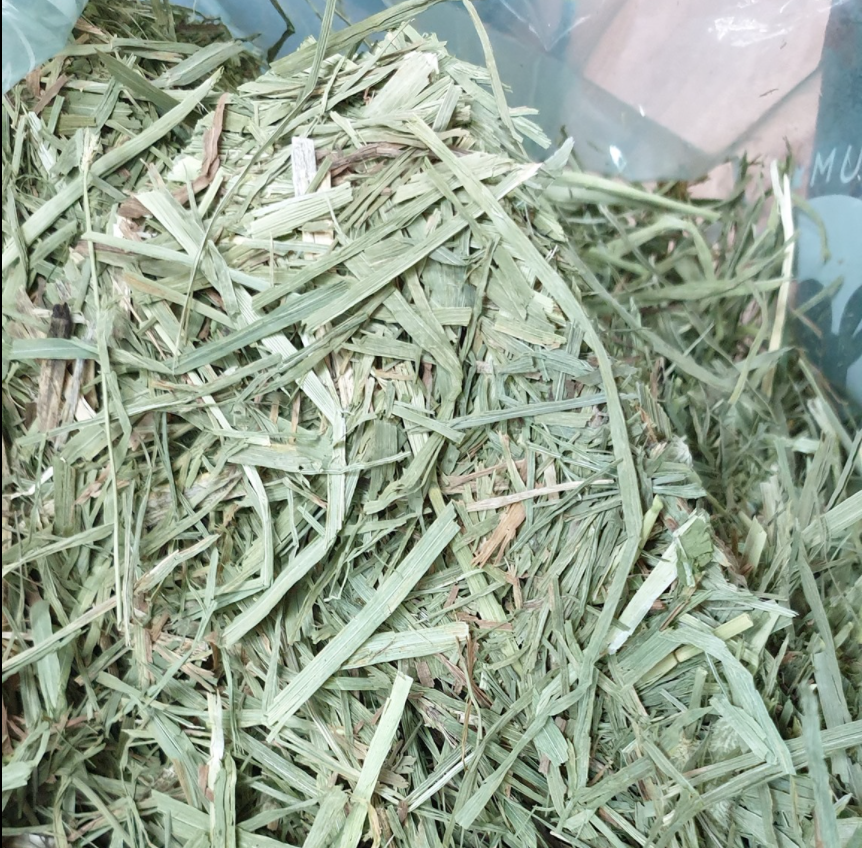 MOMI 2nd Cut Timothy Hay - No Box