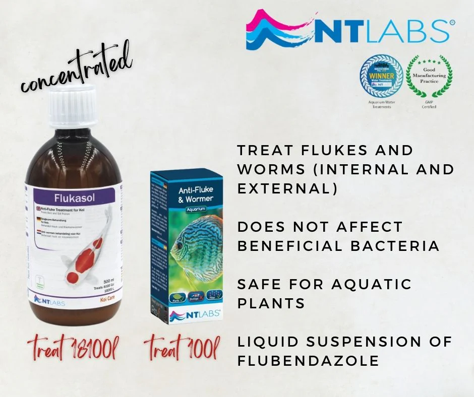 NT LABS Aquarium Anti-Fluke & Wormer (remove flukes and worms) 2 x 500L NT480
