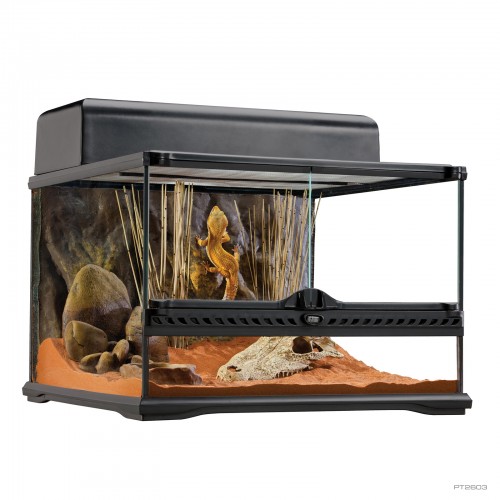 Exo Terra Terrarium PT2603 Small Wide DIMENSIONS (DXWXH) 45 x 45 x 30cm