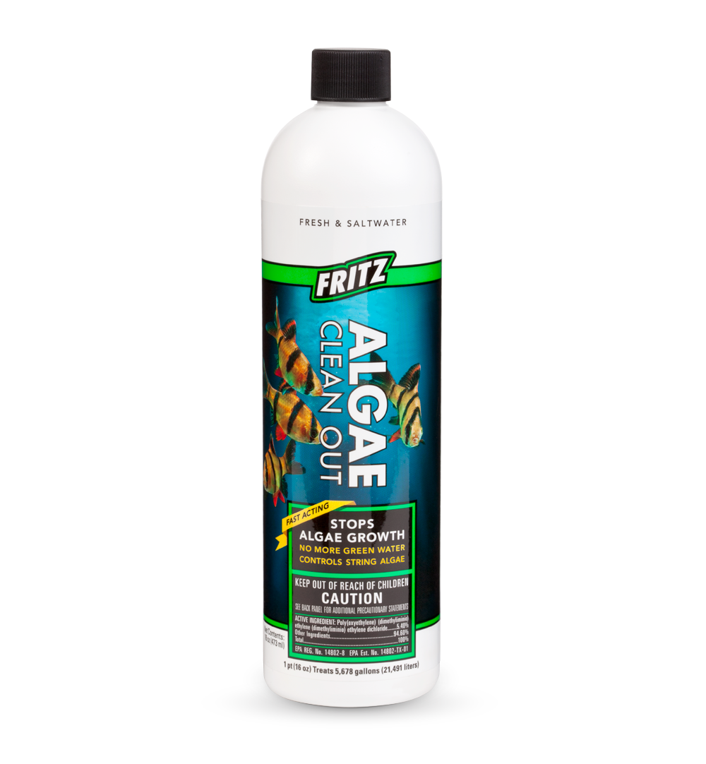 FRITZ ALGAE CLE