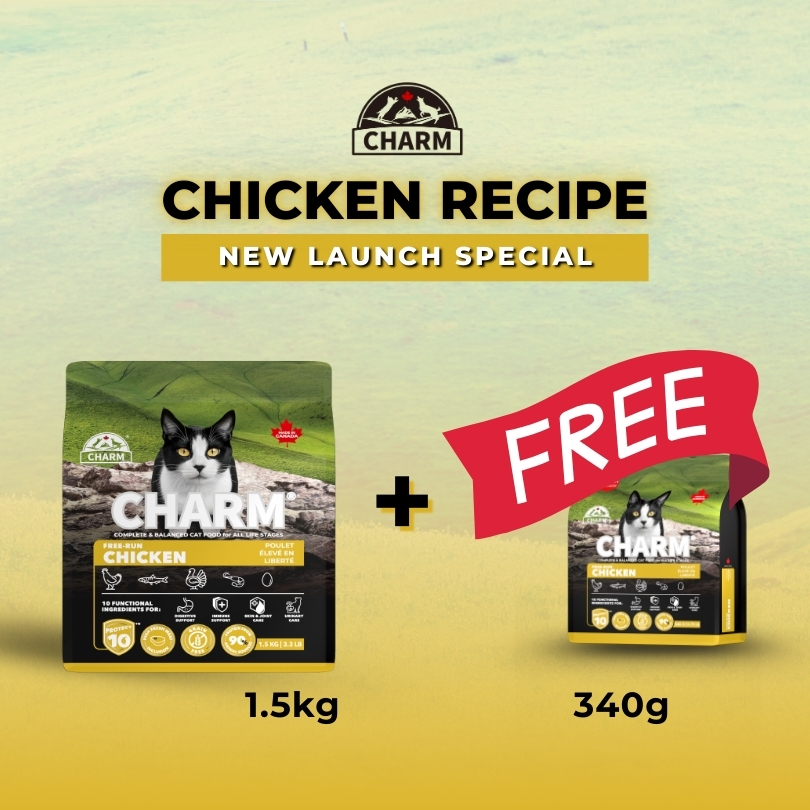 CHARM FREE-RUN 