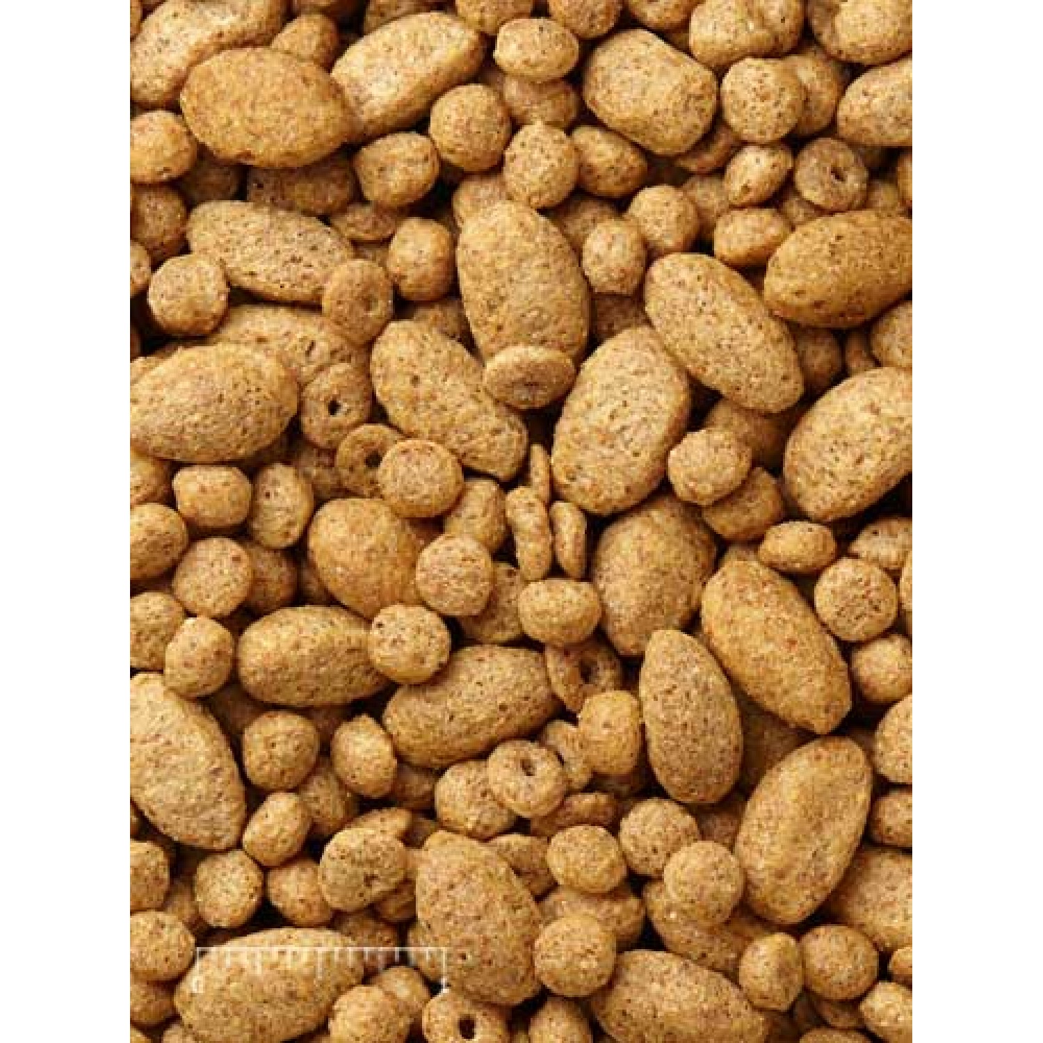 Mazuri® Large Bird Diet 56A8 25lb