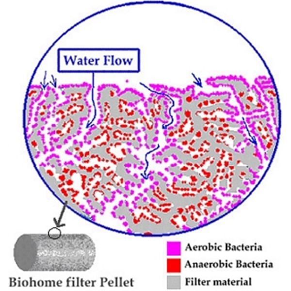 Biohome Plus Ultra 4kg