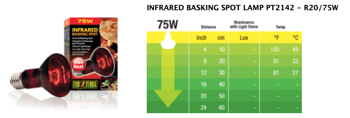EXO TERRA Infrared Basking Spot R20 75w (PT2142)