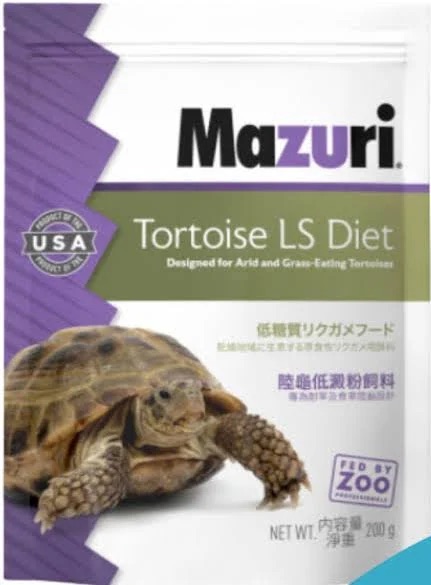 MAZURI TORTOISE