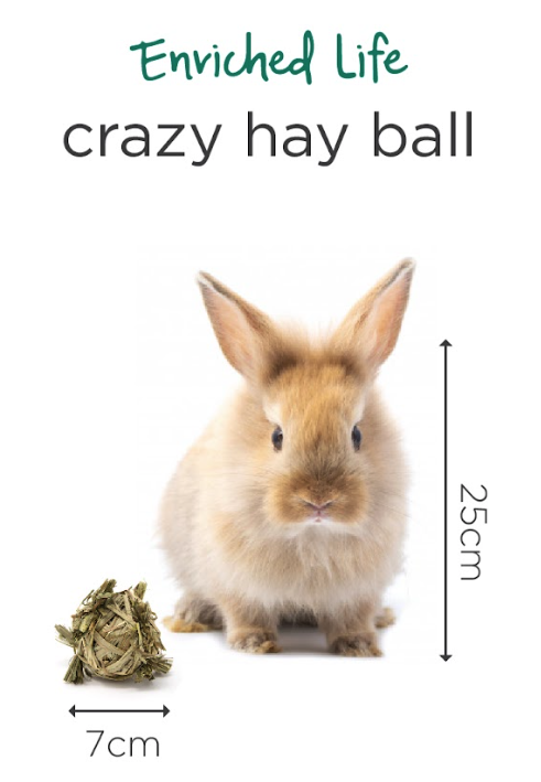 OXBOW Enriched Life Crazy Hay Ball