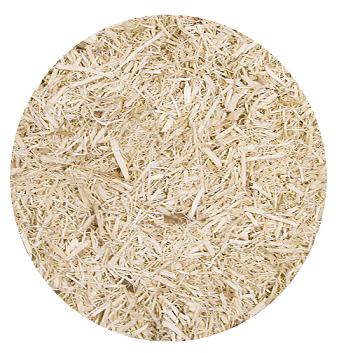 ZOOMED Aspen Snake Bedding 3 sizes