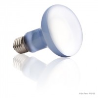 EXO TERRA Daylight Basking Spot Lamp R25 100w (PT2133)