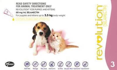 REVOLUATION Spot-On for Dogs n Cats      3pcs in a Box  - 6 TYPES