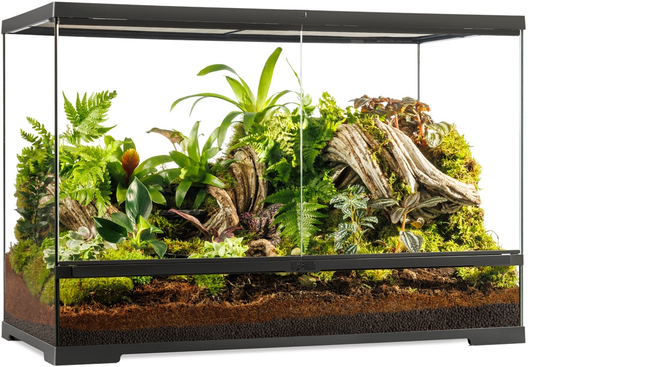 Exo Terra PT4403 Pro Terrarium Small Low 45x45x30cm