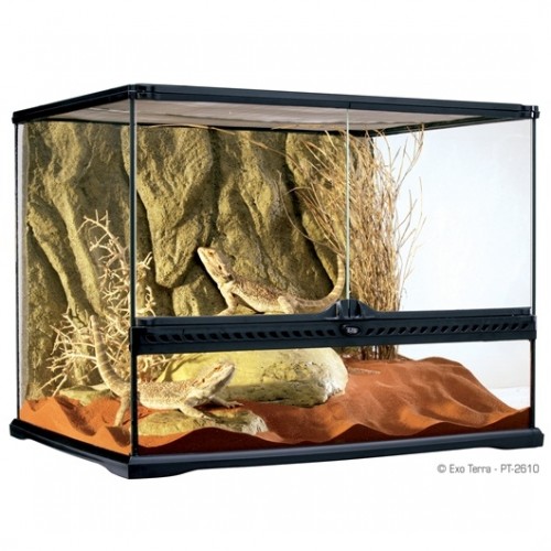 Exo Terra Terrarium PT2610 Medium Wide 60 x 45 x 45cm