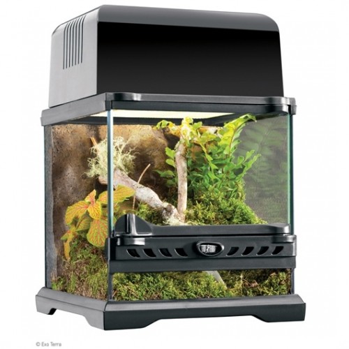 Exo Terra Terrarium PT2599 Nano Wide  DIMENSIONS (DXWXH) 20 x 20 x 20cm
