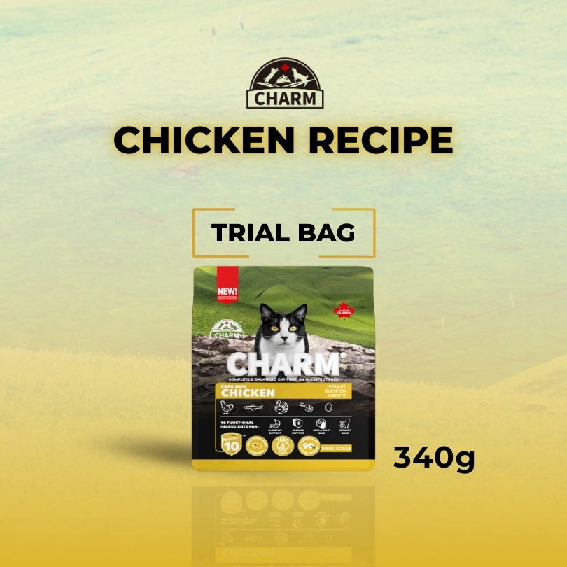 CHARM FREE-RUN CHICKEN 340g CAT
