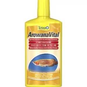 TETRA AROWANA V