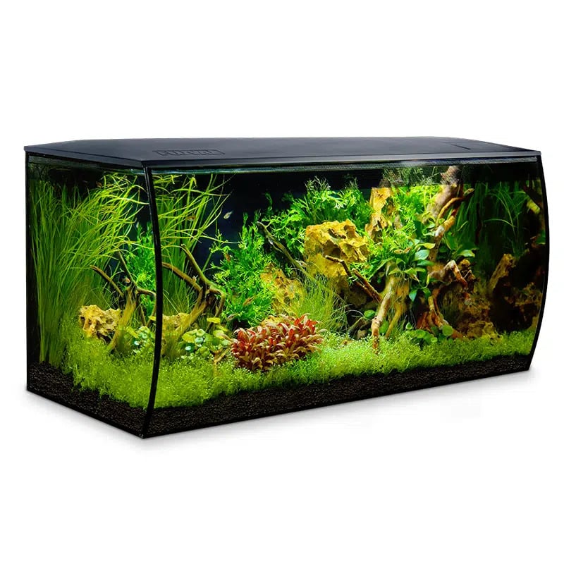 Fluval Flex 123L Aquarium Kit #14995 Black