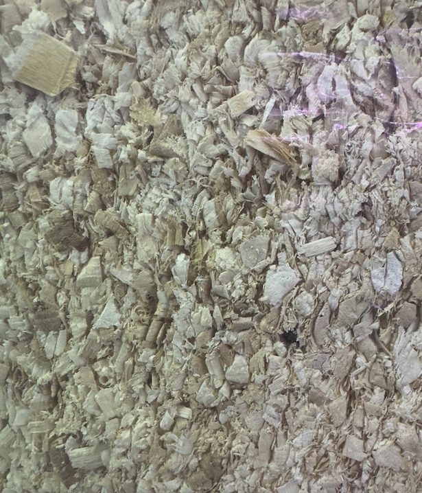 ANGEL Natural WoodShavings 60L