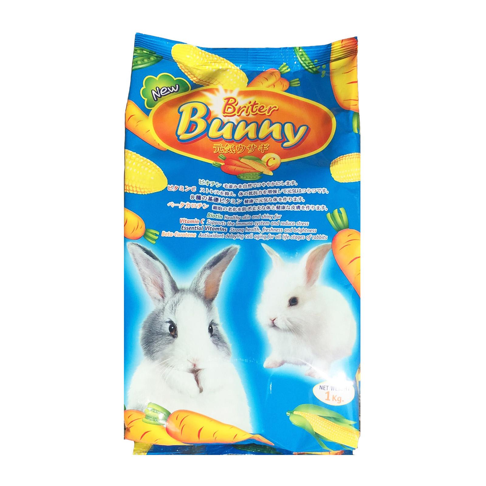 BRITER BUNNY Rabbit     2 Sizes