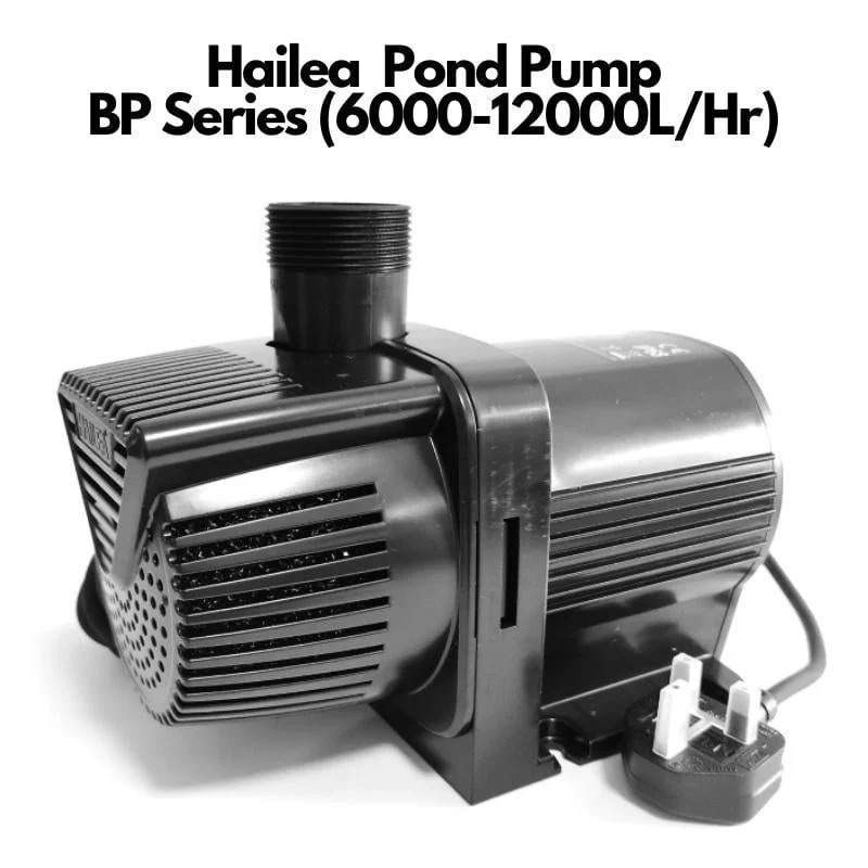 HAILEA BP10000 