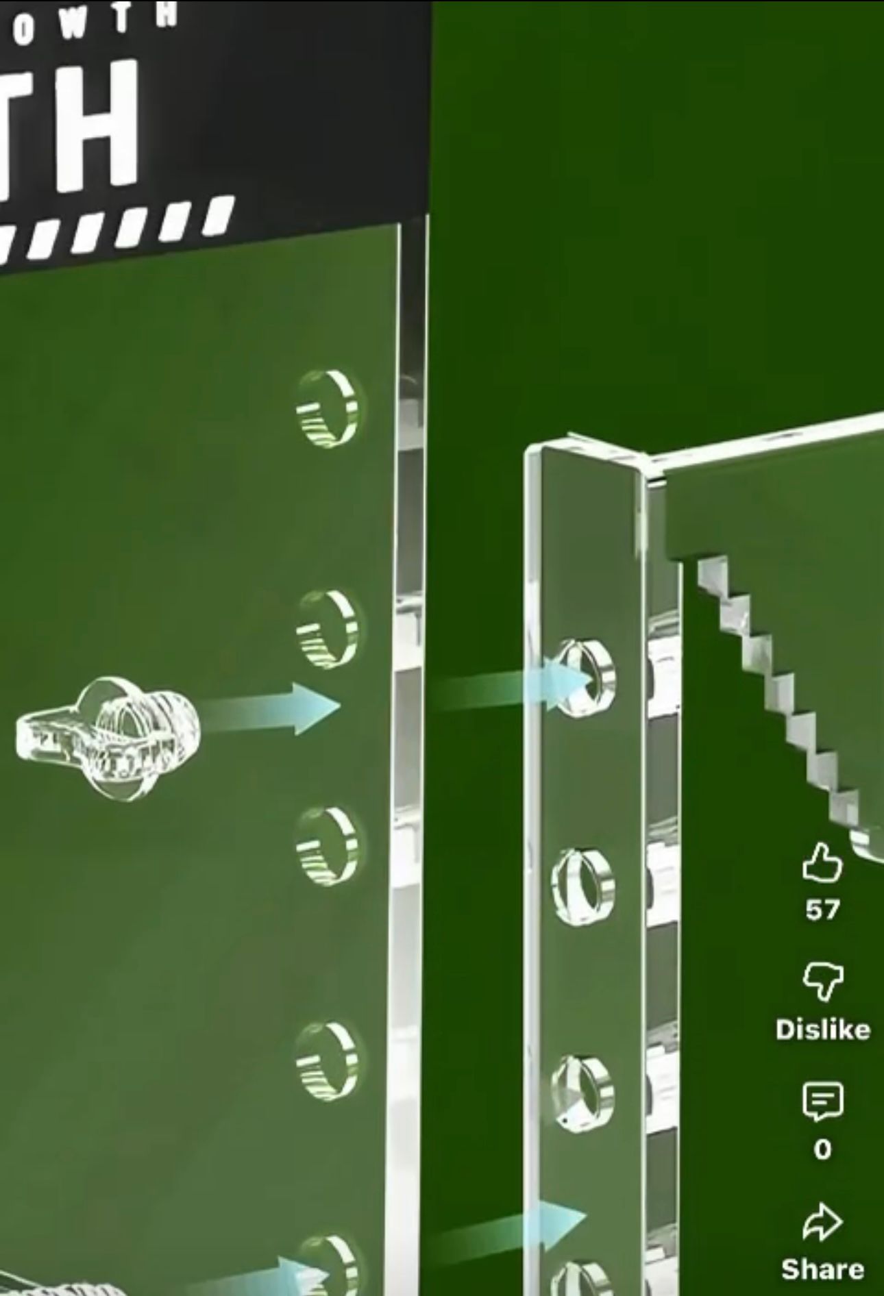 BARBAROUS GROWTH GOLDWR-01 Turtle WARM ROOM 20x14x14cm