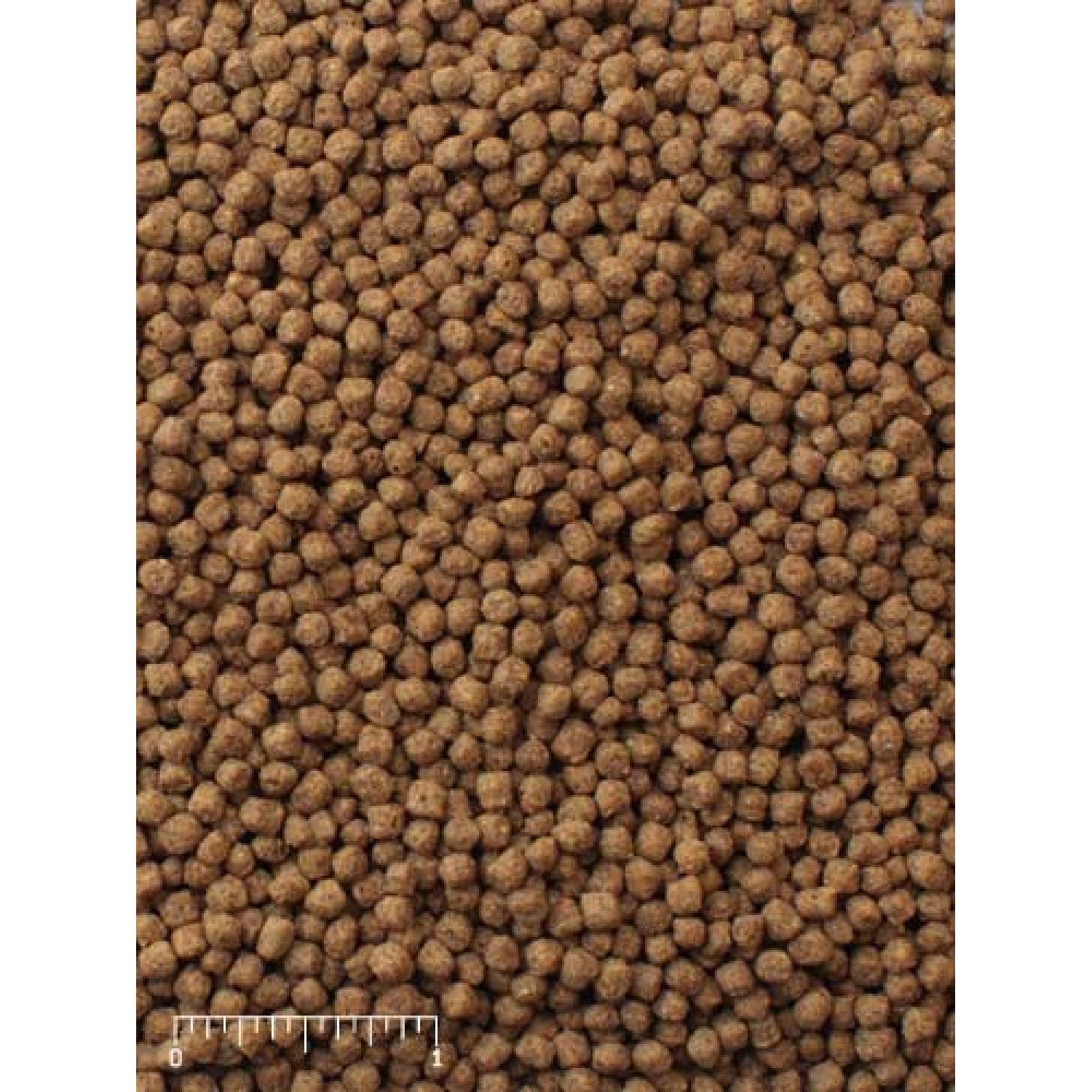 Mazuri® Koi Platinum Nuggets 5M80 20lb