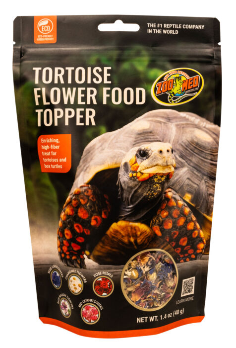 ZOOMED Tortoise