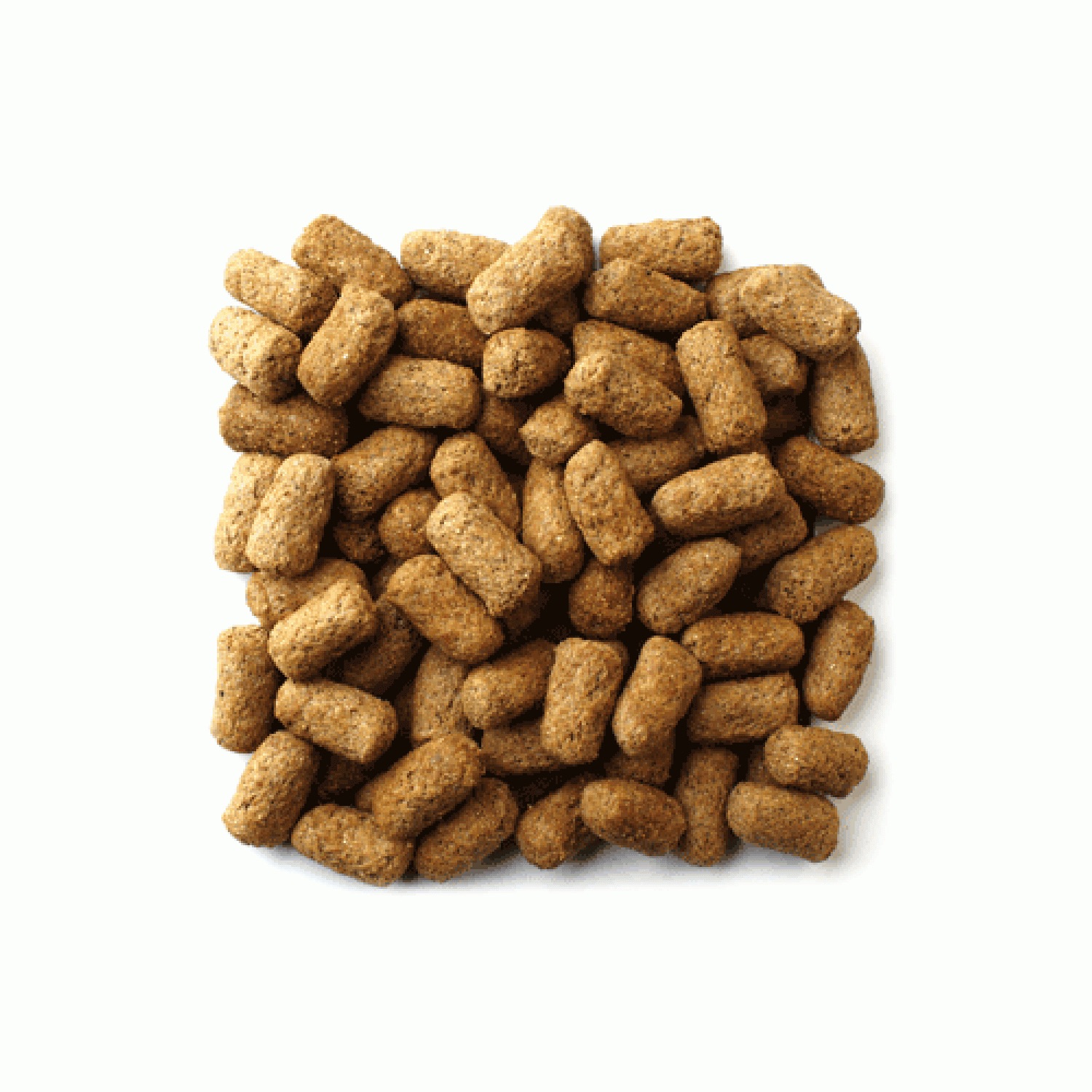 Mazuri® Tortoise Diet 5M21 25lb