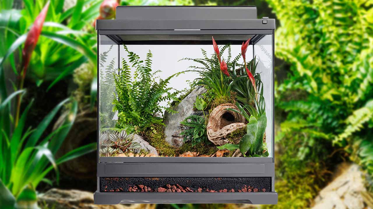 Exo Terra PT2225 NEW Compact Top Mini Terrarium Canopy