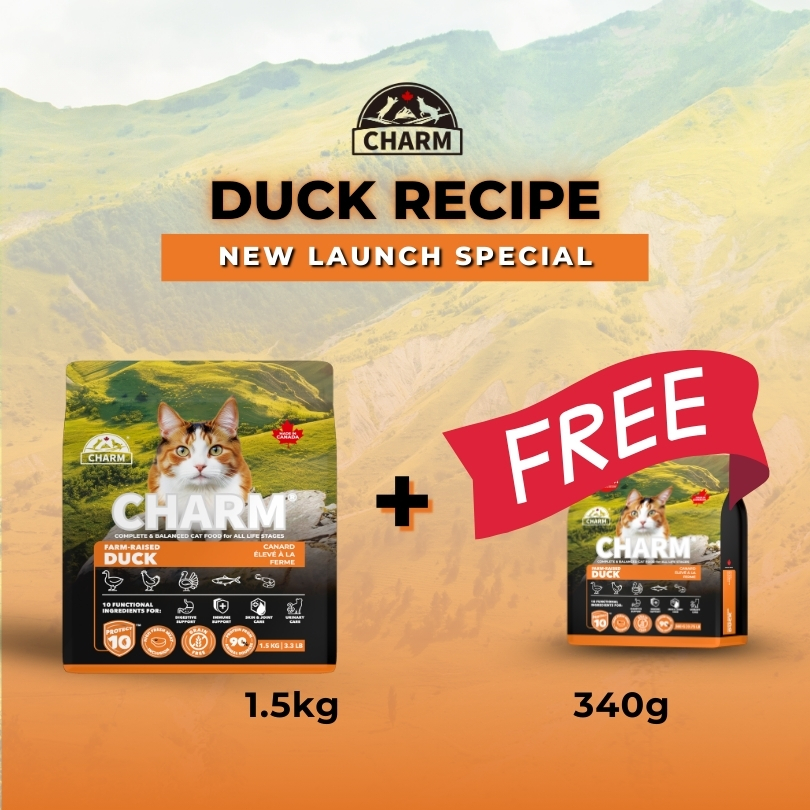CHARM FARM-RAIS