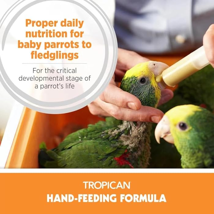Hagen Tropican Hand Feeding Parrot Food, 2kg Baby Bird Food for Optimal Growth CD-304