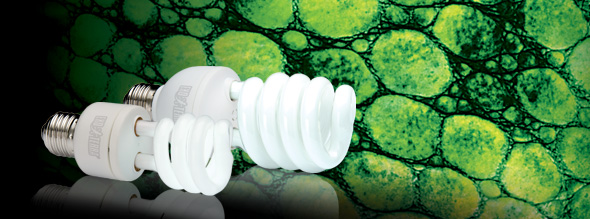 EXO TERRA REPTILE UVB100 PT2186 - 13W / TROPICAL TERRARIUM BULB