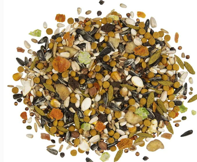 WITTE MOLEN Country Parrot 2kg 