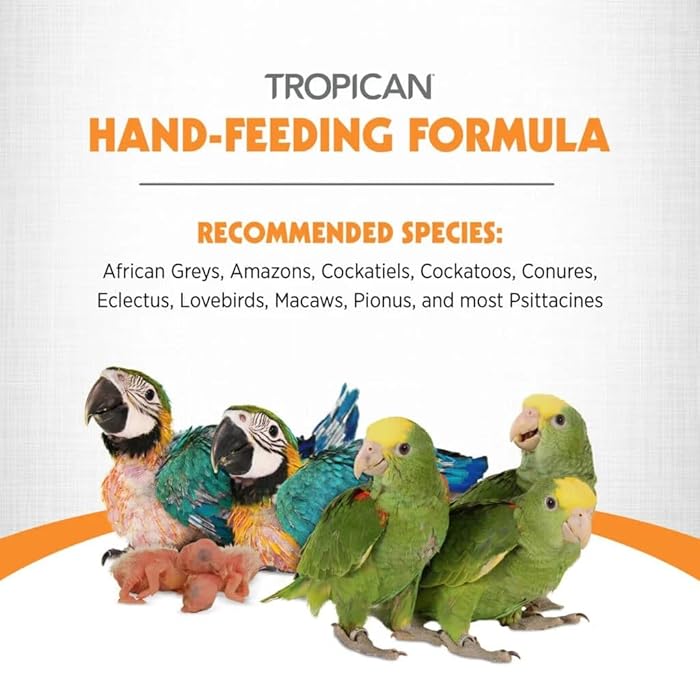 Hagen Tropican Hand Feeding Parrot Food, 2kg Baby Bird Food for Optimal Growth CD-304