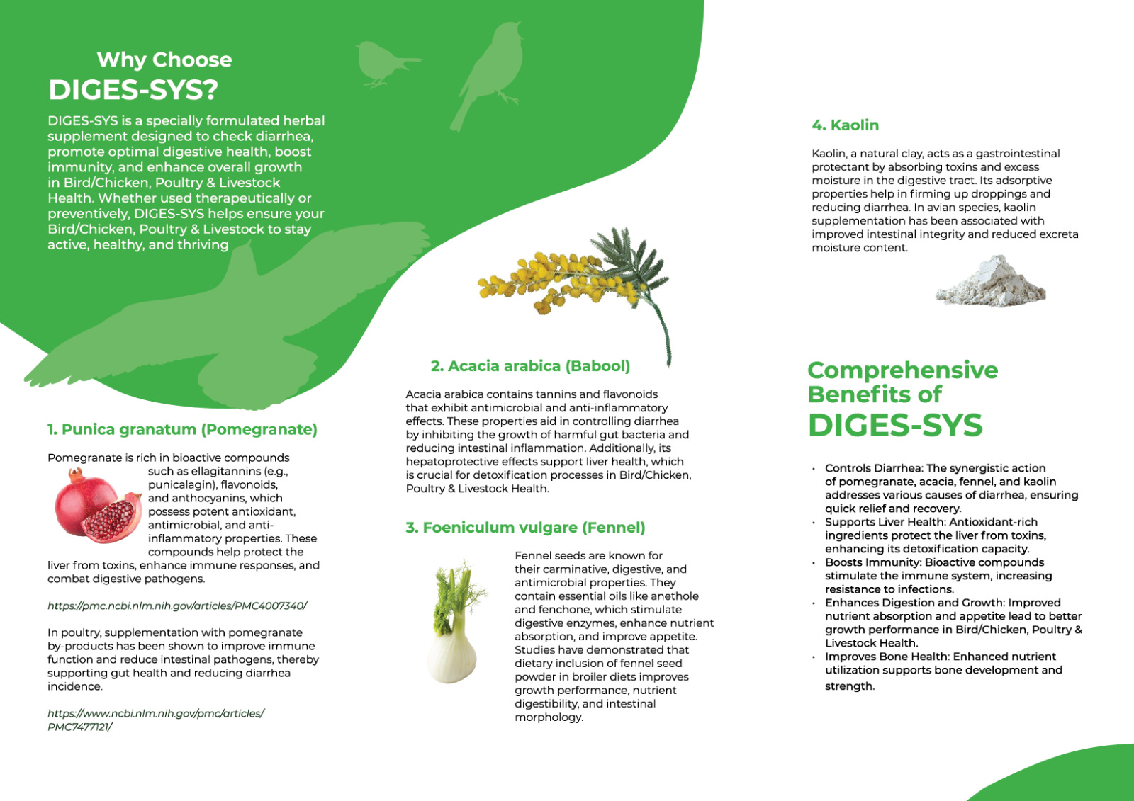 OJ DIGES-SYS NATURAL & PURE 60ml