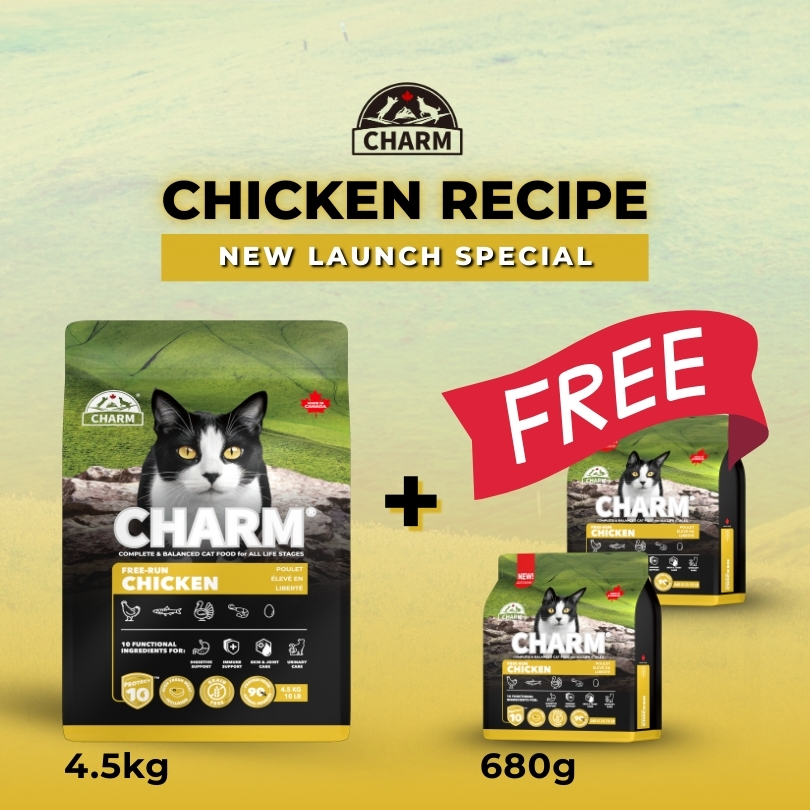 CHARM FREE-RUN 