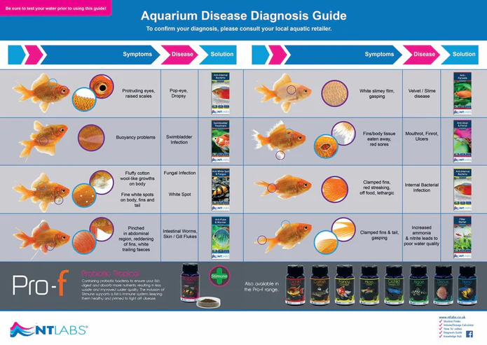 NT LABS Aquarium Anti-Fluke & Wormer (remove flukes and worms) 2 x 500L NT480