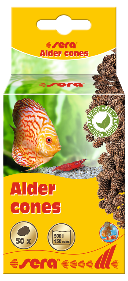 SERA ALDER CONE
