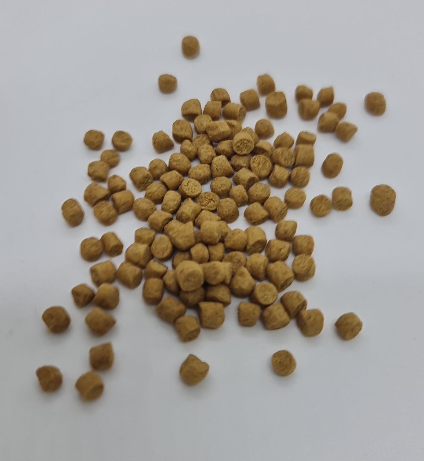 COMET Turtle Stable food for Musk Turtle Pet Mart