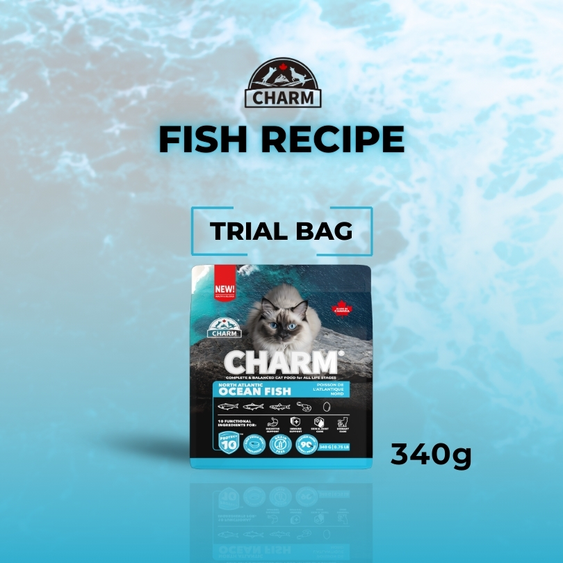 CHARM NORTH ATLANTIC OCEAN FISH 340g CAT