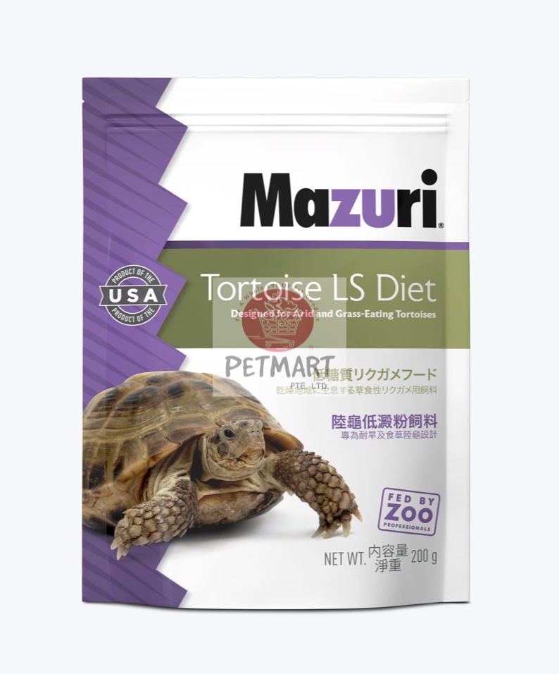MAZURI TORTOISE