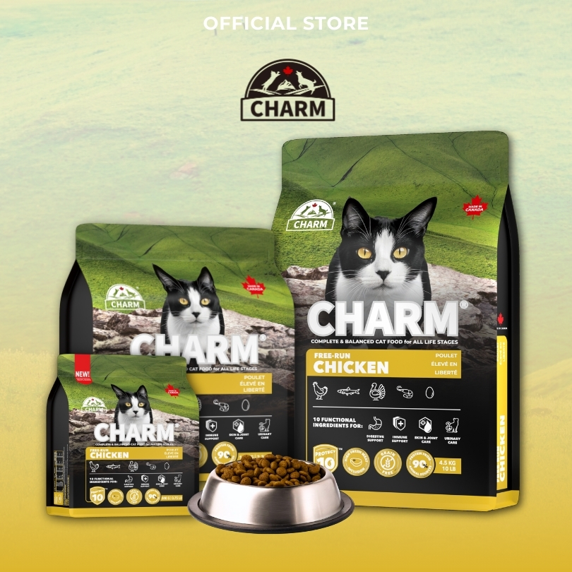 CHARM FREE-RUN 