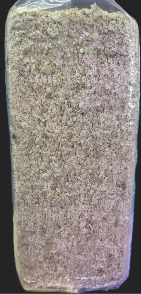 ANGEL Natural WoodShavings 60L